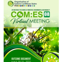 8th COM:ES2021
